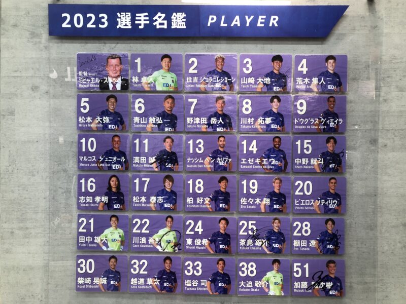 サンフレッチェ選手名鑑-2023年9月