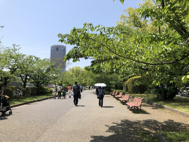 20250503-サンフレッチェ広島vsアビスパ福岡