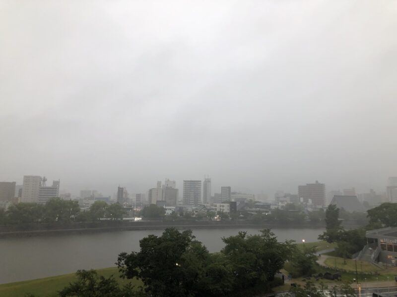 20250810-サンフレッチェ広島vs清水エスパルス