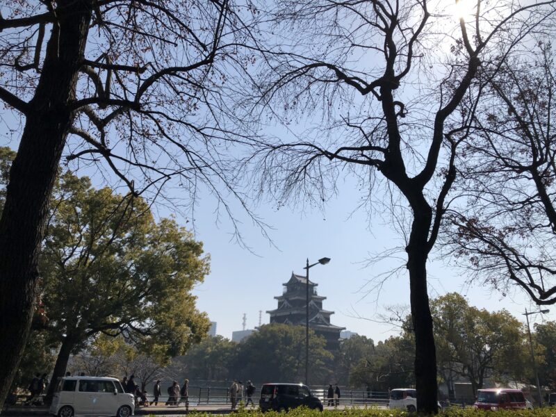 20260214_100年構想リーグサンフレッチェ広島vsファジアーノ岡山