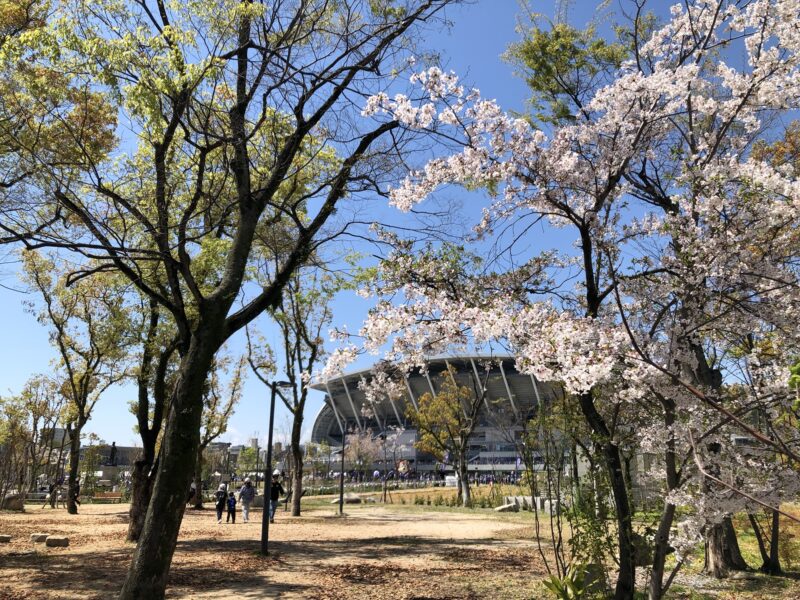 20260405サンフレッチェ広島vsアビスパ福岡